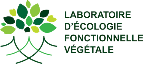 LEFO Icon