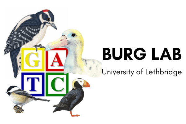 Burg Lab Population Genetic Data Icon